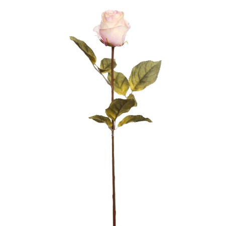 VARA ROSA 65 CM