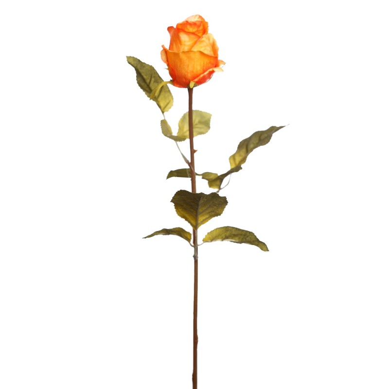 VARA ROSA 65 CM