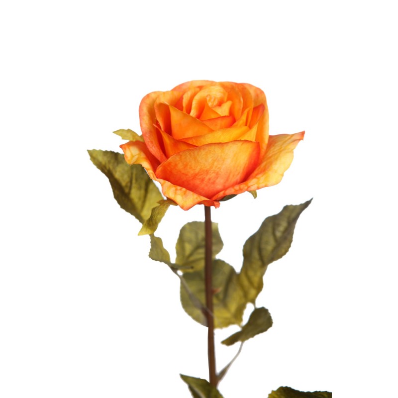 VARA ROSA 67 CM