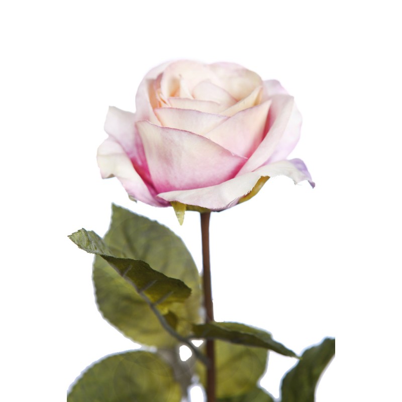 VARA ROSA 67 CM
