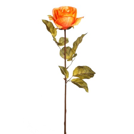 VARA ROSA 67 CM