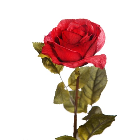 VARA ROSA 67 CM