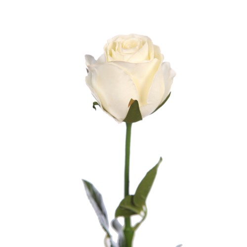 VARA ROSA ARTIFICIAL 57CM 2