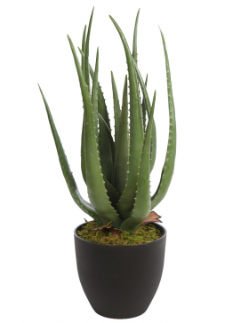 CACTUS ALOE ARTIFICIAL 55CM 