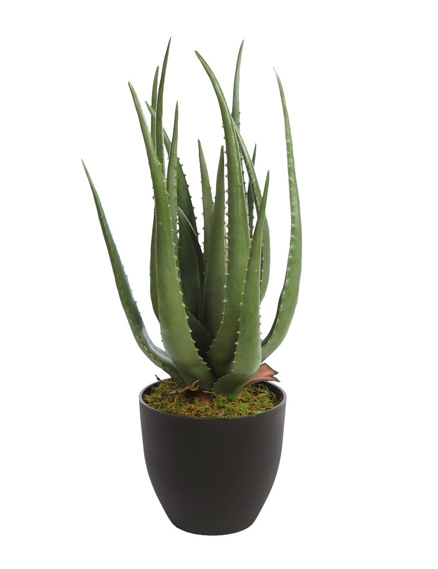 CACTUS ALOE ARTIFICIAL 55CM 