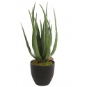 CACTUS ALOE ARTIFICIAL 55CM 
