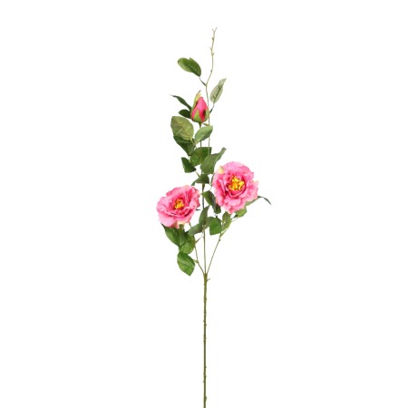 VARA ROSA X2 92CM