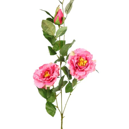 VARA ROSA X2 92CM