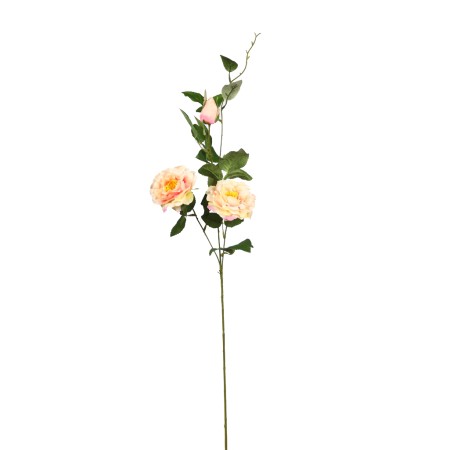 VARA ROSA X2 92CM