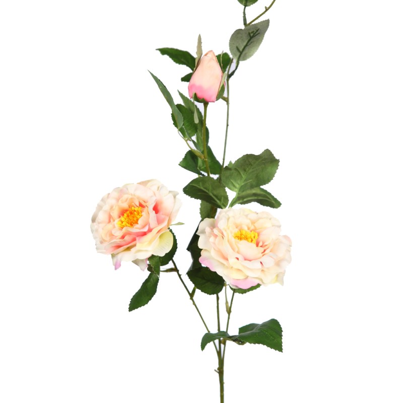 VARA ROSA X2 92CM