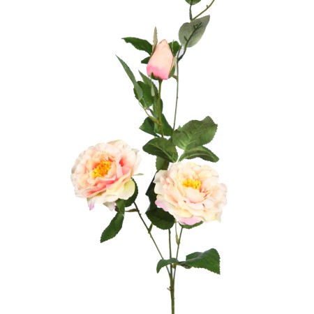VARA ROSA X2 92CM