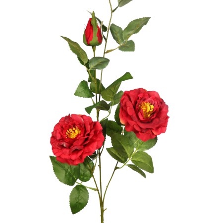 VARA ROSA X2 92CM