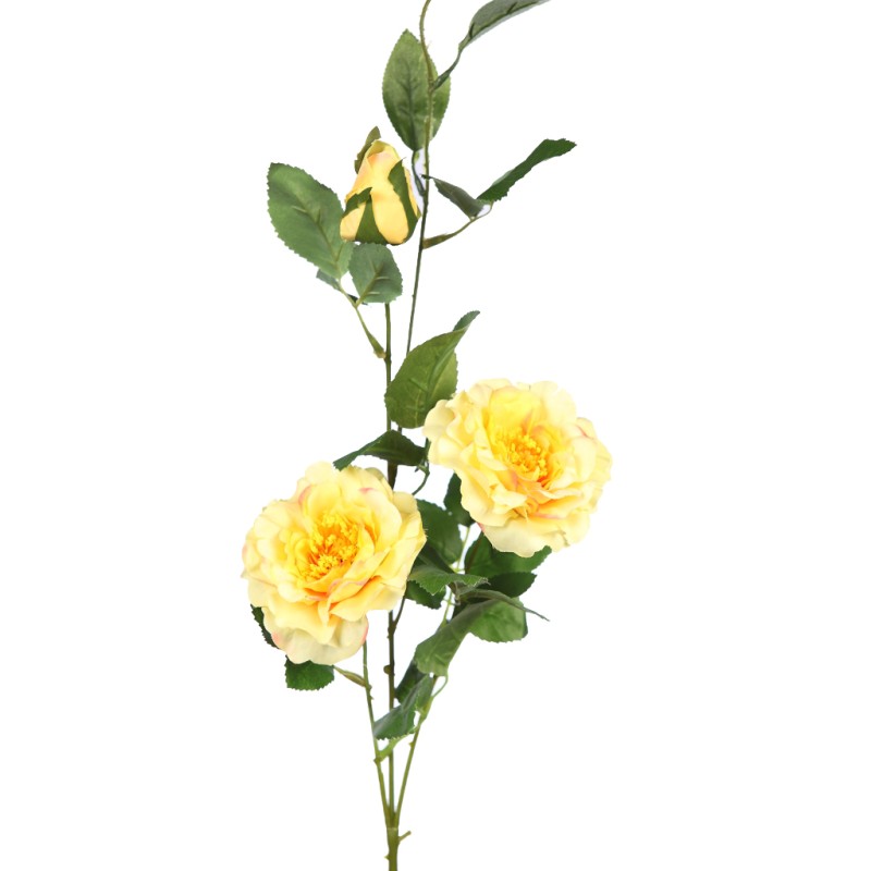 VARA ROSA X2 92CM