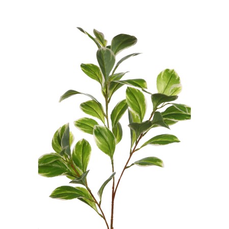 VARA RUSCUS ARTIFICIAL 70CM