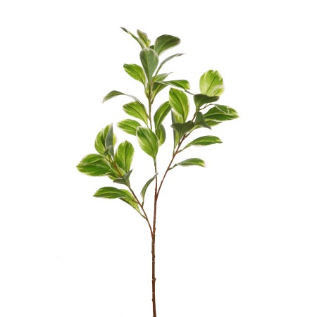 VARA RUSCUS ARTIFICIAL 70CM