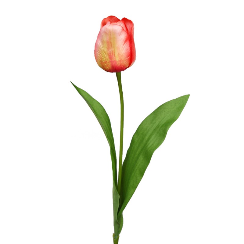 VARA TULIPAN 62CM