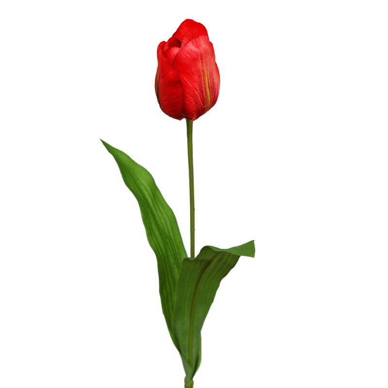 VARA TULIPAN 62CM
