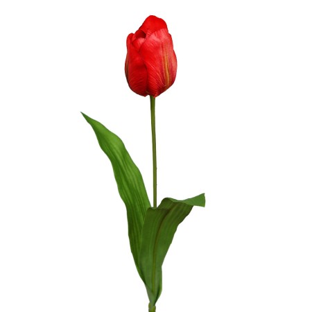 VARA TULIPAN 62CM