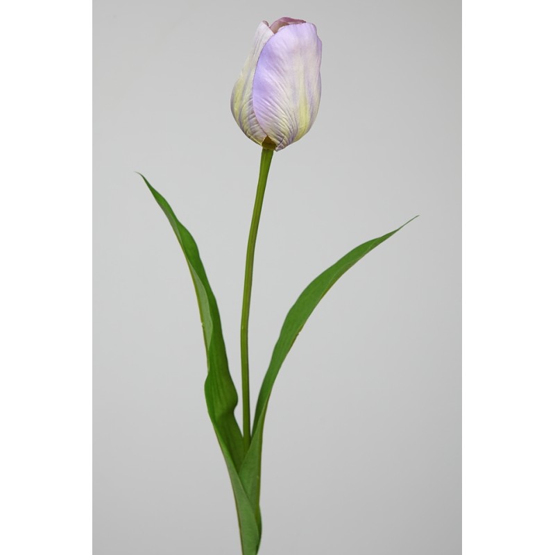 VARA TULIPAN 62CM