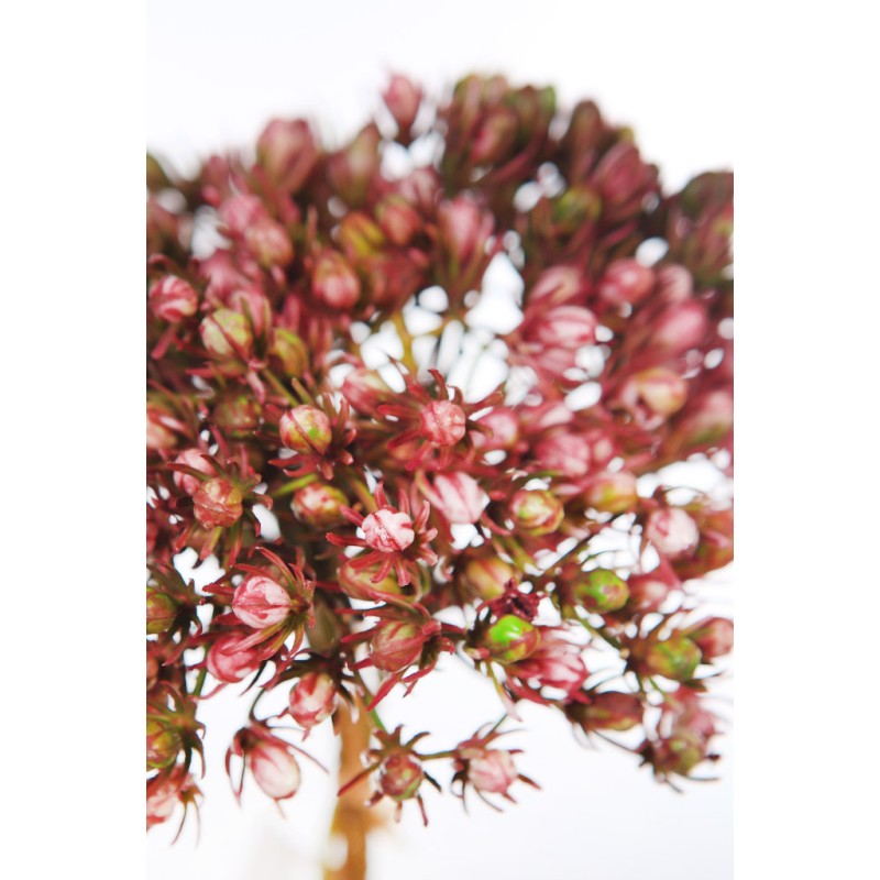 ATADO MINI FLOR ARTIFICIAL 30CM