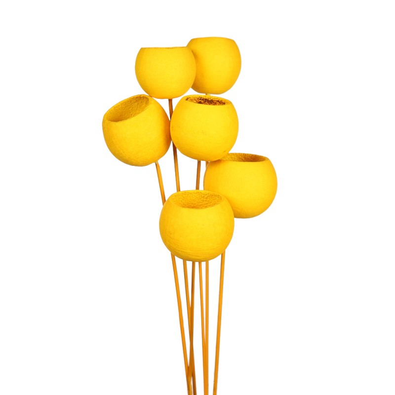 BELL CUP ø5CM, 6 PCS, ALT 60CM