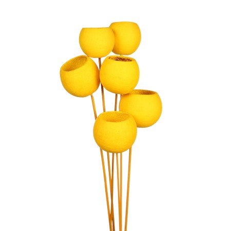 BELL CUP ø5CM, 6 PCS, ALT 60CM