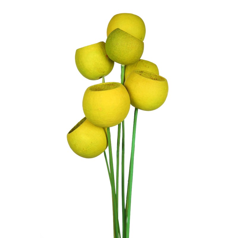 BELL CUP ø5CM, 6 PCS, ALT 60CM