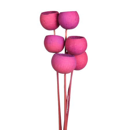 BELL CUP ø5CM, 6 PCS, ALT 60CM