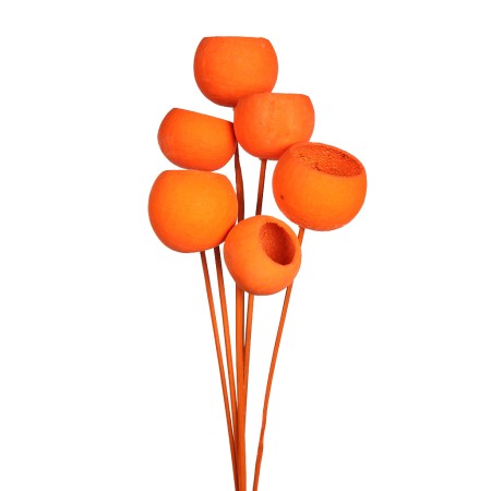 BELL CUP ø5CM, 6 PCS, ALT 60CM