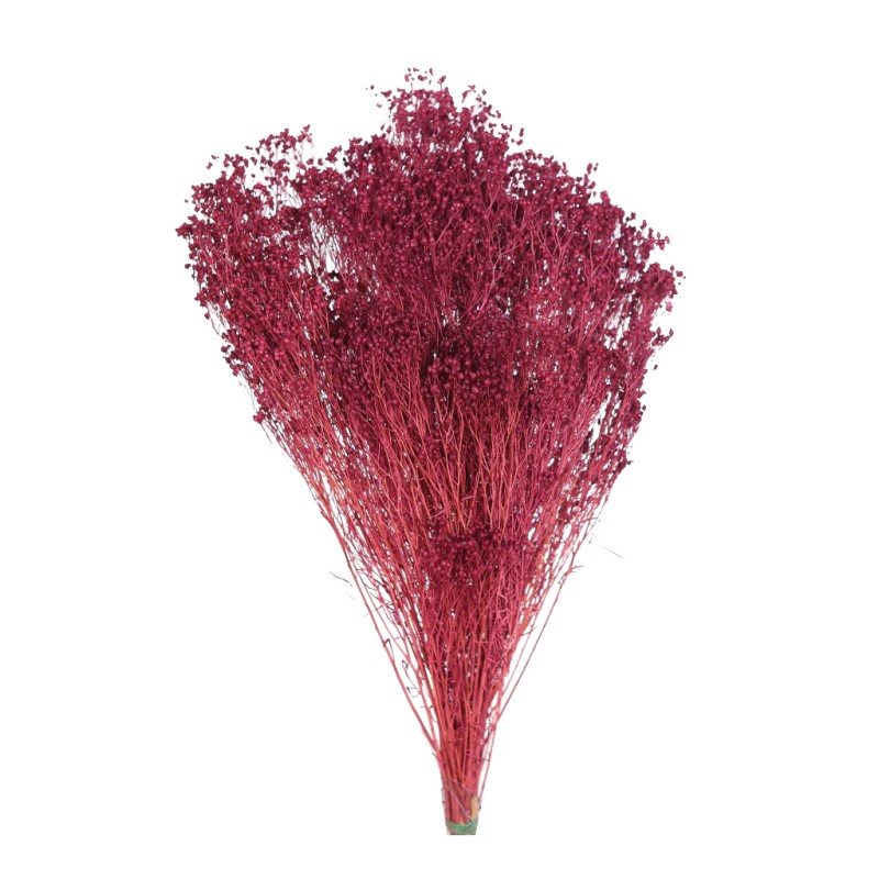 BROOMS PRESERVADO