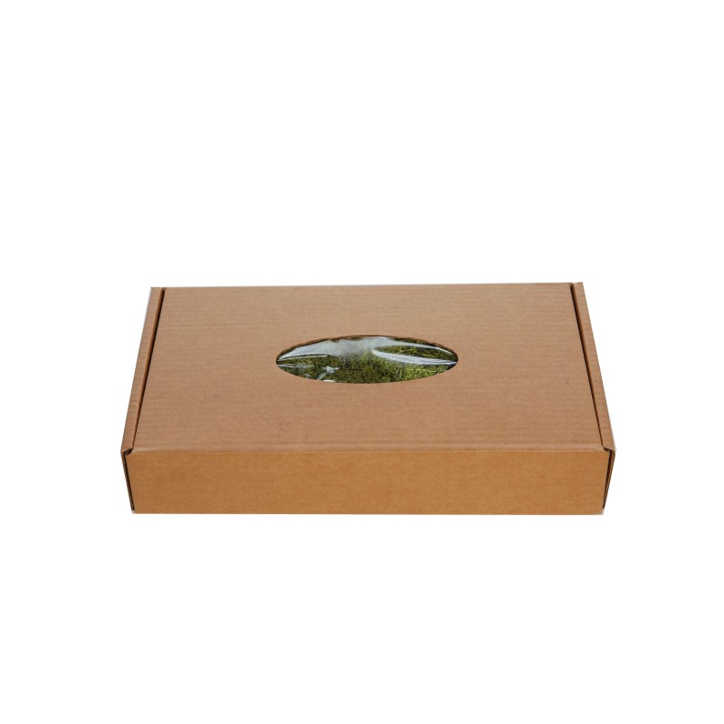 CAJA DE MUSGO FINLANDES PRESERVADO 400GR