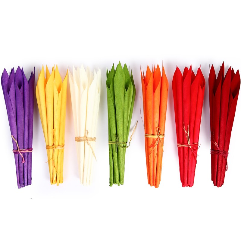 CALA SECA 38 CM POMO DE 12 PCS