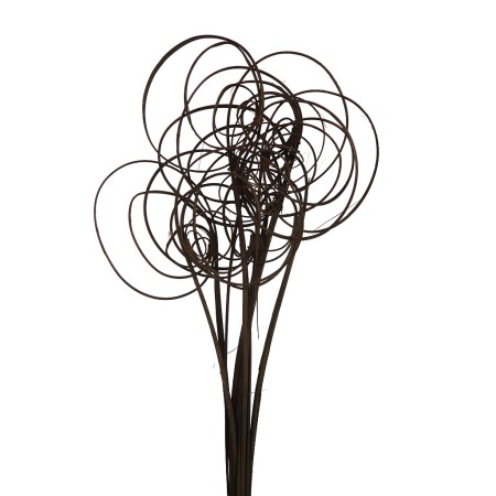 CANE COIL X 10, 50 CM