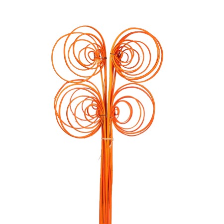 CANE COIL X 10, 50 CM
