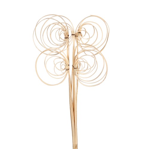 CANE COIL X 10, 50 CM