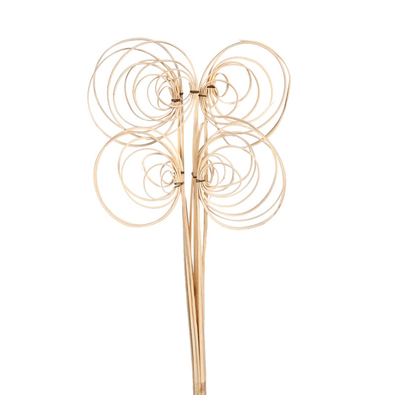 CANE COIL X 10, 50 CM