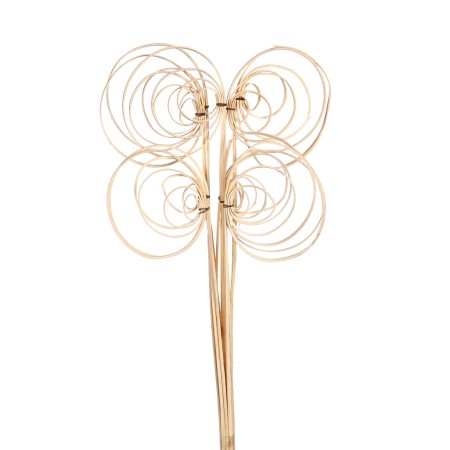 CANE COIL X 10, 50 CM