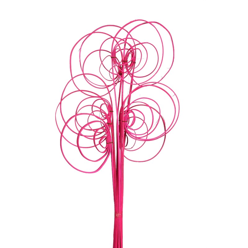 CANE COIL X 10, 50 CM