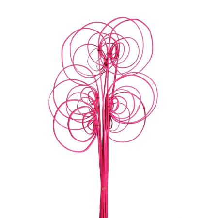 CANE COIL X 10, 50 CM