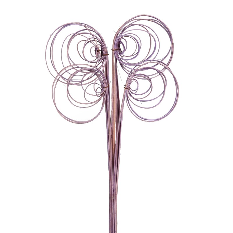 CANE COIL X 10, 50 CM
