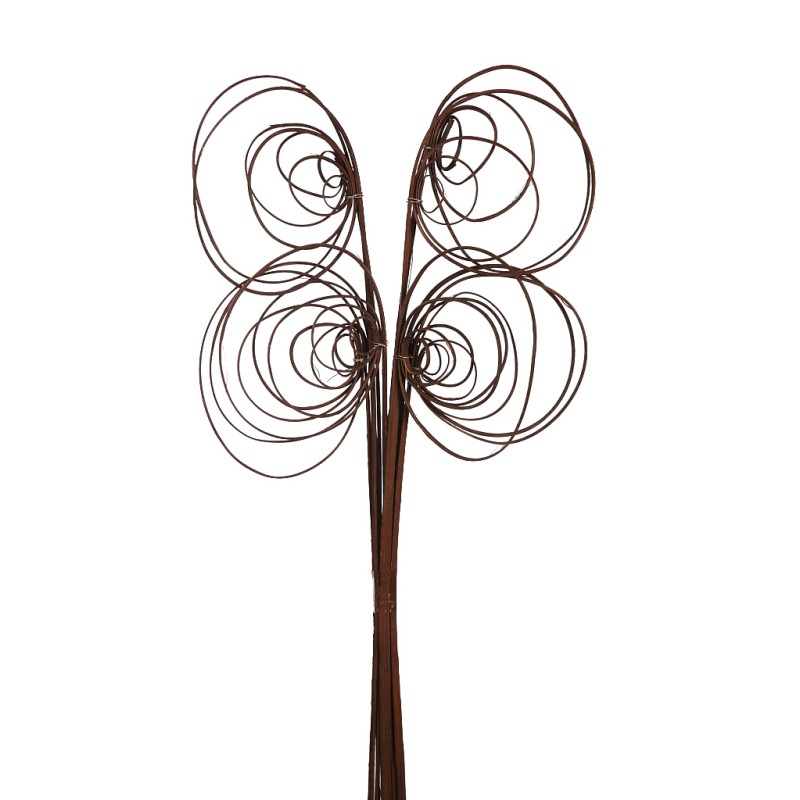 CANE COIL X 10, 50 CM
