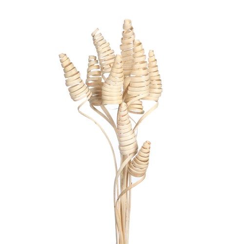 CANE CONE X 10, 50 CM