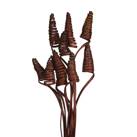 CANE CONE X 10, 50 CM