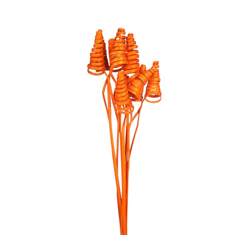 CANE CONE X 10, 50 CM