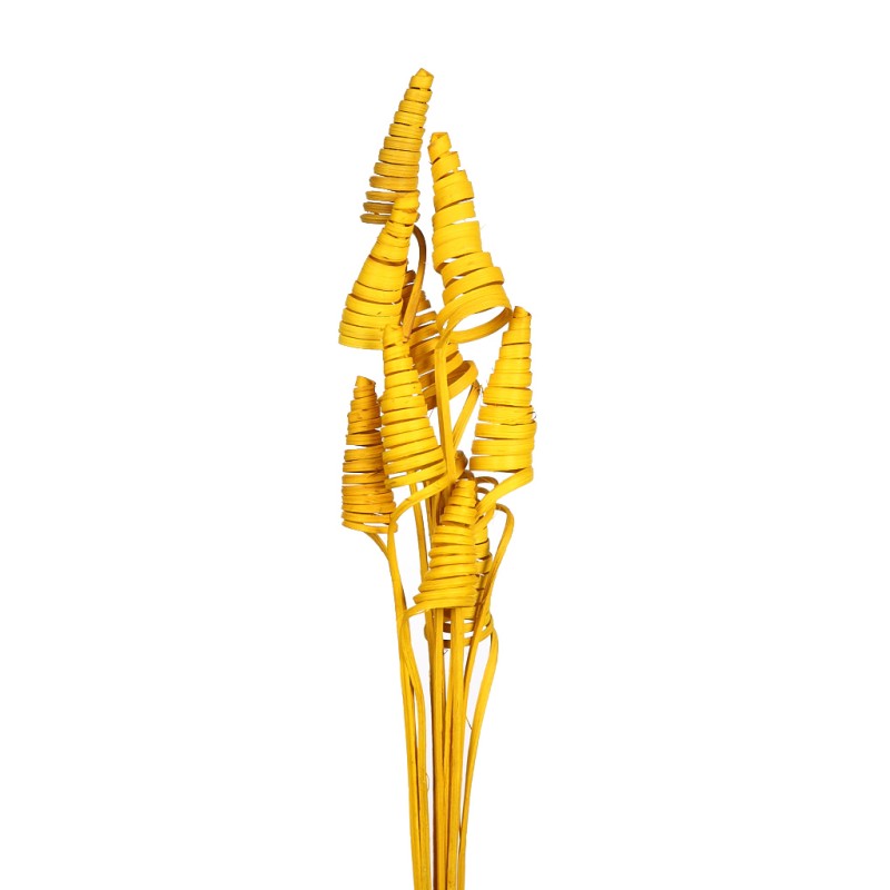 CANE CONE X 10, 50 CM