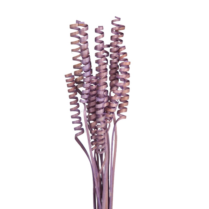 CANE SPRING X 15, 50 CM