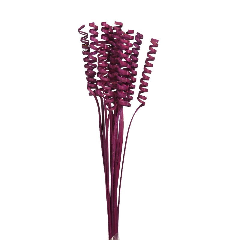 CANE SPRING X 15, 50 CM