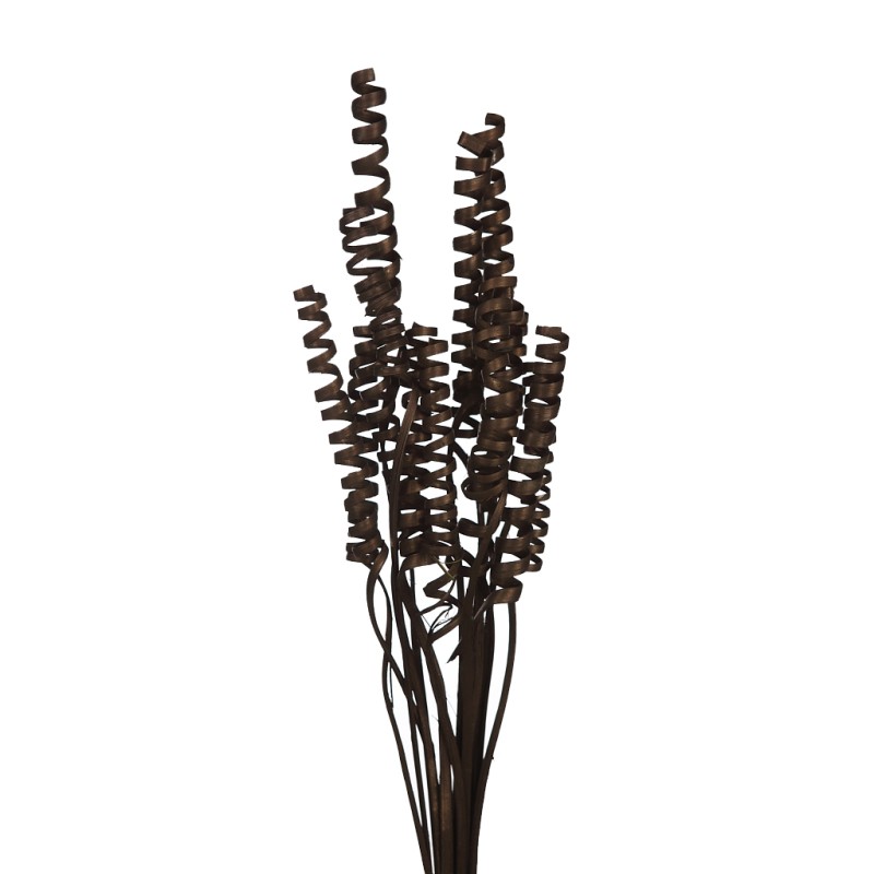 CANE SPRING X 15, 50 CM
