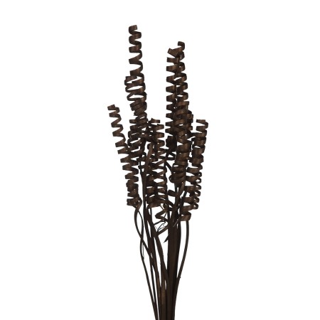 CANE SPRING X 15, 50 CM