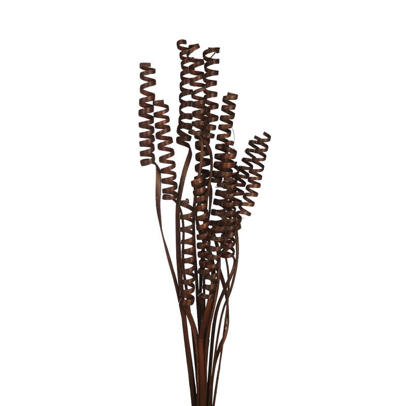 CANE SPRING X 15, 50 CM